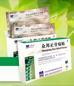 Ортопедические Пластыри ZB Pain Relief - Архангельск